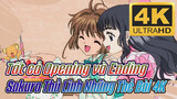 Tất cả Opening và Ending
Sakura Thủ Lĩnh Những Thẻ Bài 4K