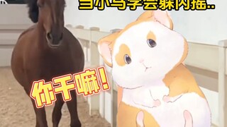 Hua Ling: The kind mouse is bullied by the horse! [Hua Ling Film]