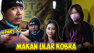 Luan KETEMU SAMA PASCOL PART #10 | DAY 4 MAKAN ULAR KING KOBRA SEHARGA 700RB/EKOR AT JAKARTA‼️