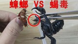What happens if a cockroach is stung by a scorpion's poisonous sting? The UP master had an accident 