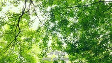 Tôi Vẫn Chưa Từng Thử Hết Sức EP 4 [Sub Việt]