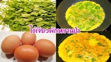 ไข่เจียวผักหวานป่า เคล็ดลับการเจียวไข่ไม่ให้อมน้ำมัน | Thai Omelette With Melientha Suavis