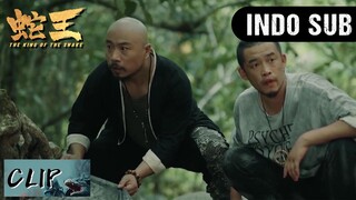 CLIP | Penangkap ular menemukan kulit ular yang sangat besar | The King of Snake【INDO SUB】