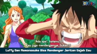 Luffy Dan Momonosuke Mendengar Jeritan Gajah Zou