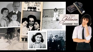 Comme Toi -Jean Jacques Goldmann - Harmonica