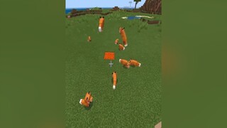Kiểu này vác lòi le luôn, show nay đắt quá 🤣 minecraft foryou fpy minecraftpe