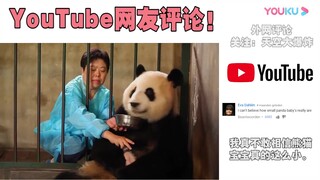 如何成功“偷走”熊猫宝宝，YouTube国外网友评论：难怪它们濒危了！