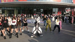 Pure enjoyment version - Gaoyou random dance [Silver Carbon Edition], the little brain tiger is comi