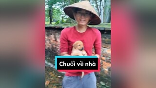 Chuối giờ mới về hẳn nhà tớ. Cả nhà chúc e gì ủn mông e hay ăn chóng nhớn giúp tớ ha.  cunyeucuadua chó chócon chókhôn chócute