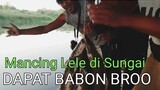 Mancing LELE di Sungai Dapat BABON Semua Broo || Fishing - Blands Hidayat