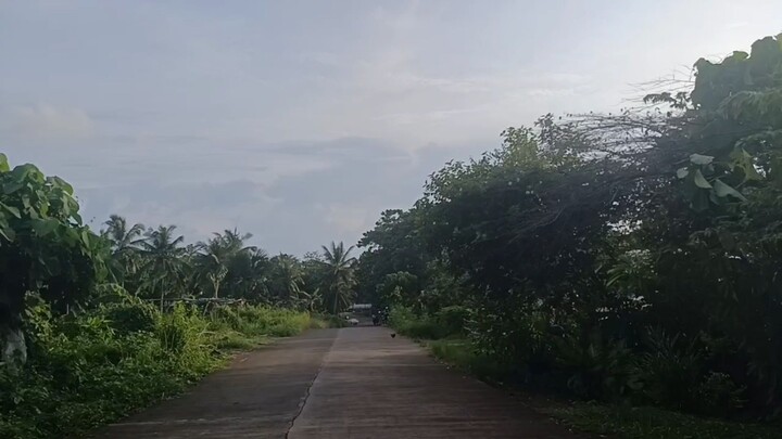 travel