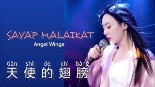 天使的翅膀 • Tian Shi De Chi Bang • Tang Yi • 唐艺 • Sayap Malaikat • Angel Wings • Lagu Mandarin