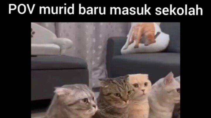 Moment ketika Murid baru masuk sekolah 😂