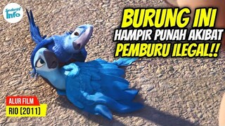 BURUNG TAK BISA TERBANG DEMI BERTAHAN HIDUP!! | ALUR CERITA RIO (2011)