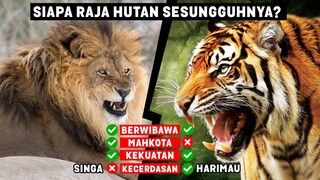 Hidup di Savana - Kenapa Singa dijuluki Raja Hutan ❓