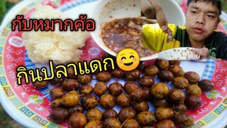 กินปลาแดกตัวเป็นๆ เด็ดๆๆ