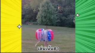 เรื่องตลกสุดฮา : เล่นเน้นฮา
