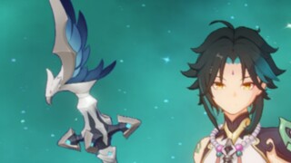 别被他们骗了，这才是真鸟枪