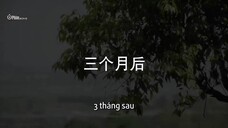 Chuyến Bay Không Có Khiếu Nại EP 23 [Sub Việt]