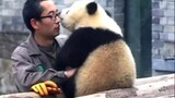 [Panda]Orang yang Paling Kukagumi - Kakek Yang