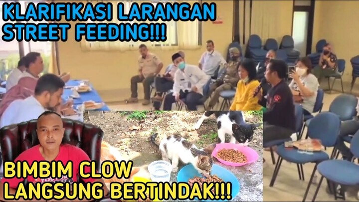 AKHIRNYA...!!! LARANGAN MEMBERI MAKAN KUCING LIAR MENEMUKAN TITIK TEMU