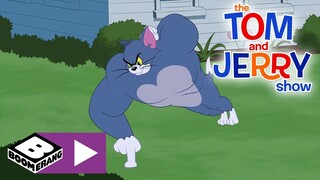 The Tom and Jerry Show | Tom The Gym Cat | Boomerang UK 🇬🇧