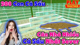 Play Together | Trở Lại Căn Nhà Nhiều Cá Sấu Nhất Sever Với Số Lượng 208 Con | MạnhCFM Official