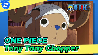 ONE PIECE | Tony Tony Chopper_2