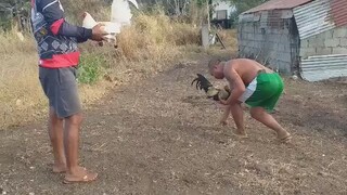 spar lang