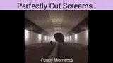 Perfectly Cut Screams|Funny Moments|Part1