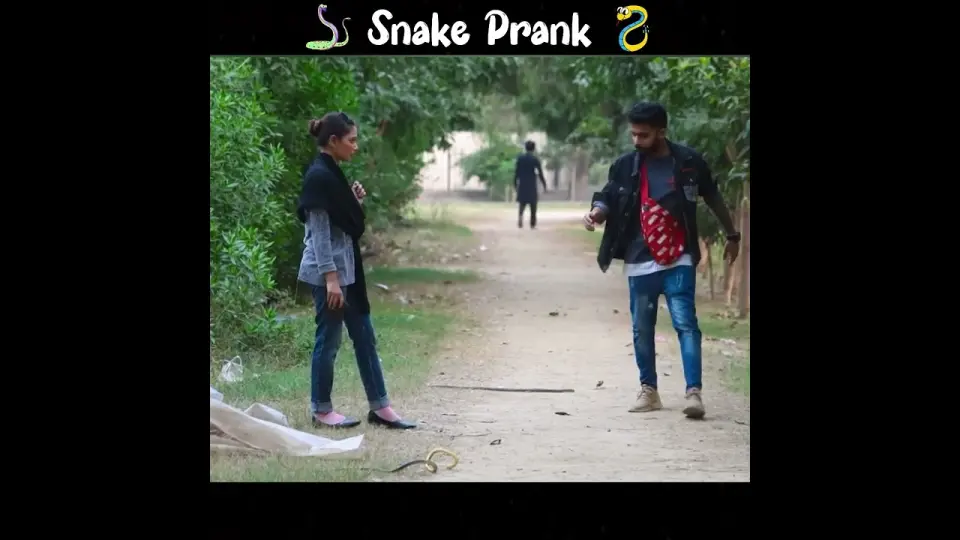 Dropping Wallet Prank with a Twist | Funny Snake Prank | Viral Prank Video  | Trending Prank | #prank - Bilibili