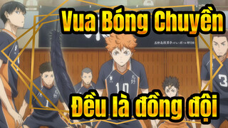 [Vua Bóng Chuyền!!/AMV/Kịch tính] Trong bóng chuyền, những ai cùng một sân đều là đồng đội