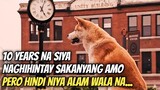 Aso Naghintay Ng 10 Years Sakanyang Amo Na Bumalik, Pero Hindi Niya Alam Patay Na...