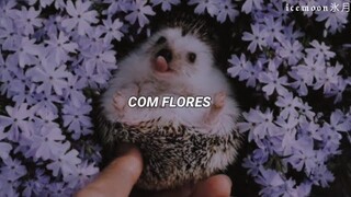 a música mais fofa do tiktok! // con flores te llevaste mi tristeza com colores