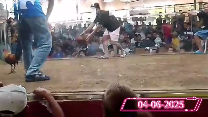 04-06-25 Win🏆 tinukrik Cockpit Arena  First Fight win🏆