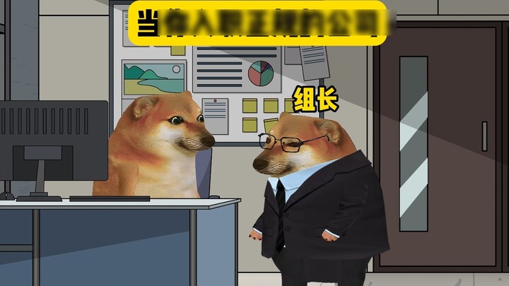 This is my first time working in a formal company, and I’m still a little uncomfortable