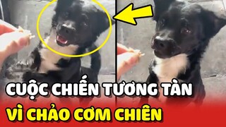 Cuộc chiến "KHỐC LIỆT" của 2 anh em cún vì 1 chảo CƠM CHIÊN 😂 | Yêu Lu