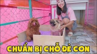 Chị Làm Ổ Đẻ Cho Thộn Mà Bị Thốn Chiếm Mất