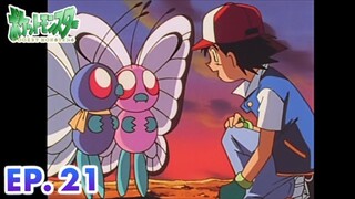 Pokémon the Series: The Beginning | EP. 21 | Bye Bye Butterfree | Pokémon Indonesia