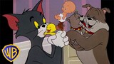 Tom & Jerry | Family Time | Classic Cartoon Compilation | @wbkids​