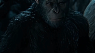 Caesar Mãi Mãi