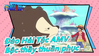 [Đảo Hải Tặc AMV] Bậc thầy thuần phục!