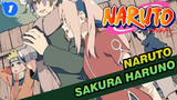 NARUTO|[Sakura Haruno]All CP_1