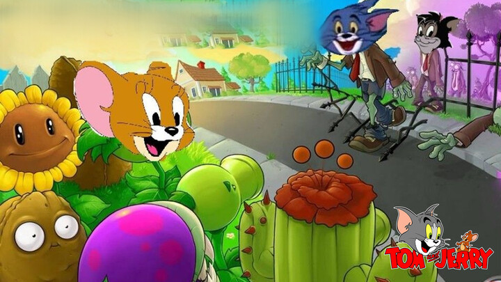 [Tom và Jerry] Có một chú mèo Tom trên bãi cỏ!