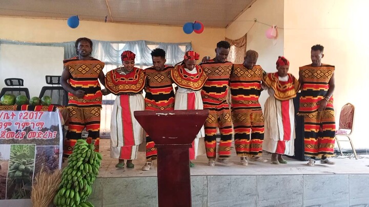ጋሞኛ