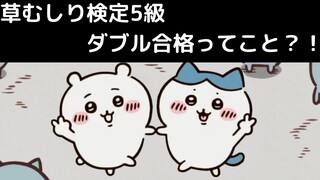 【ちいかわ】ちいかわが草むしり検定5級に受かってた？世界