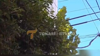 mizuhara misono || alur film 🇯🇵
