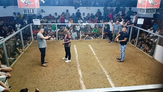 2stag derby elims 2nd fight win Using KRDS Kelso (rematch)