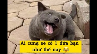 Tag ngayđứa bạn hay trêu bạn vàođây nào ☺️