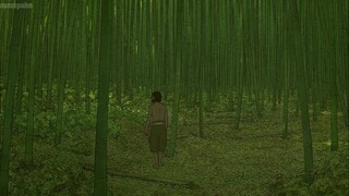 Red Turtle: Aru Shima no Monogatari 2016 HD(1080p)